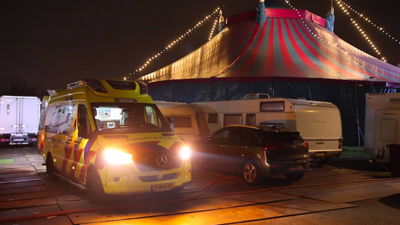 Artist injured after falling from great height during Christmas Circus Haarlem performance |  Interior