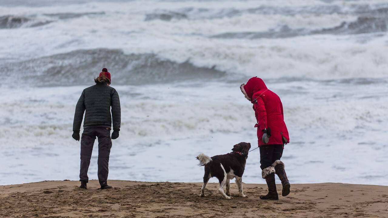 Weather forecast: KNMI warns of strong gusts of wind on the coast |  NOW