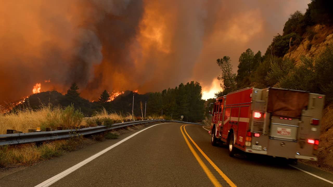 Nearly two million hectares of land destroyed by wildfires USA |  NOW