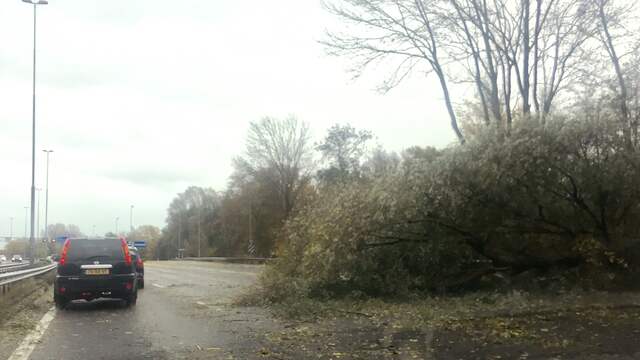 Zeer Zware Windstoten Bij Eerste Herfststorm | Binnenland | NU.nl