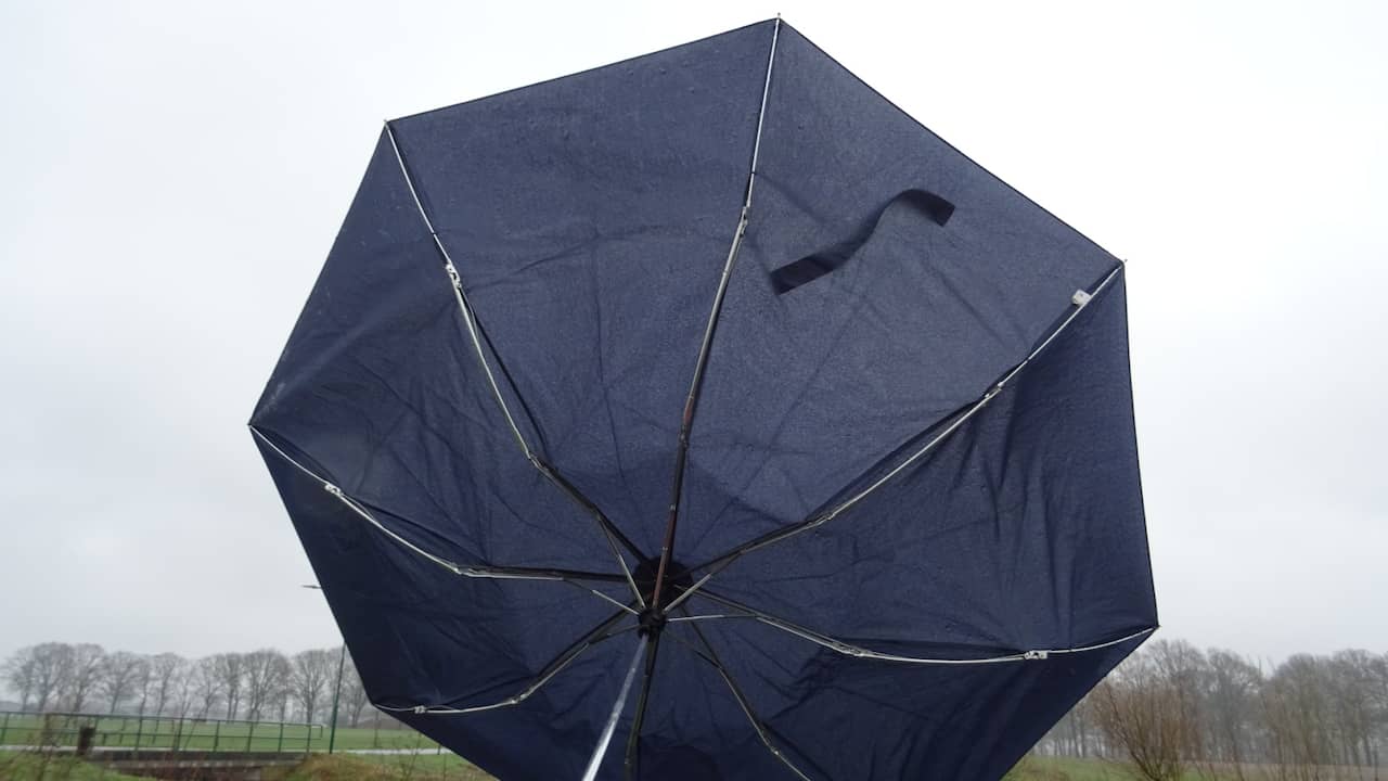 Maandag 24 februari: De combinatie van wind en regen is zeker niet geschikt voor het gebruiken van paraplu's vandaag. 