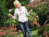 Bloemenexpo