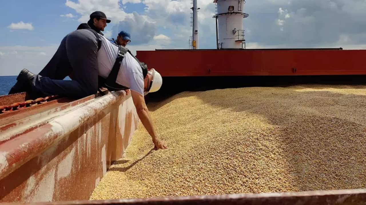 Grain on board the first ship from Odesa, which is allowed to leave under the grain agreement.