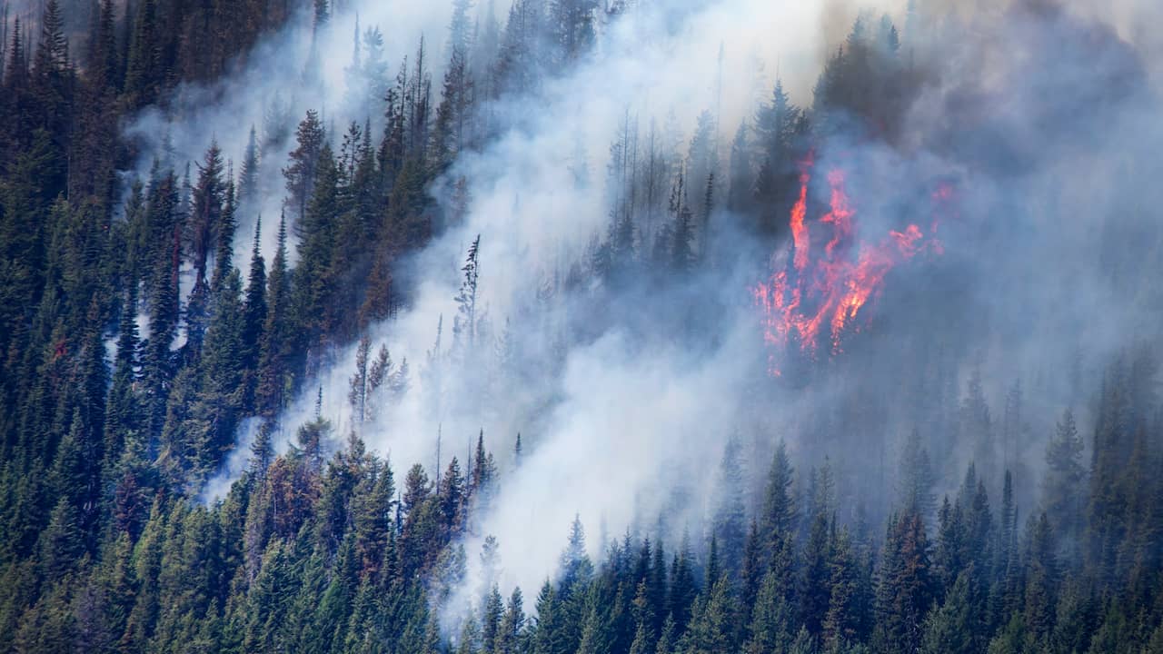 Unprecedented Wildfires In Canada Push Carbon Emissions To Record Climate Paudal 3156