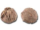Oudste speelballen van Eurazië gevonden op Chinese begraafplaats