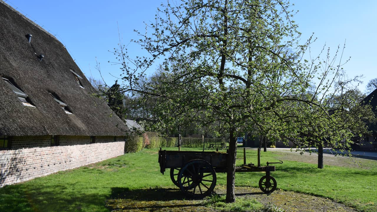 Consumers are increasingly buying a farm as a home |  NOW