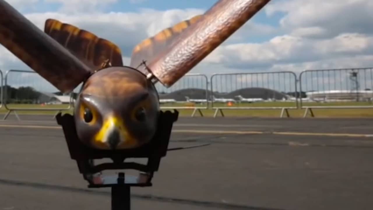 Beeld uit video: Nederlandse drones krijgen innovatieprijs op Europese beurs