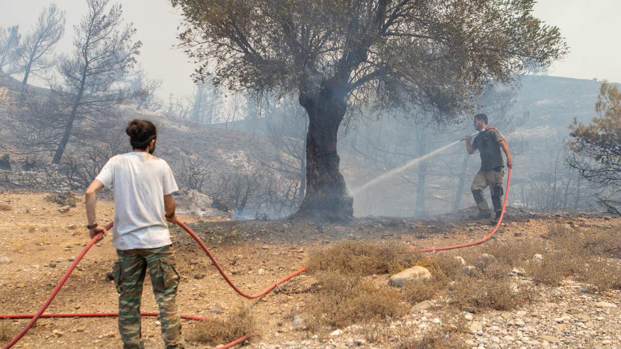 Current heat in southern Europe virtually impossible without climate change |  climate