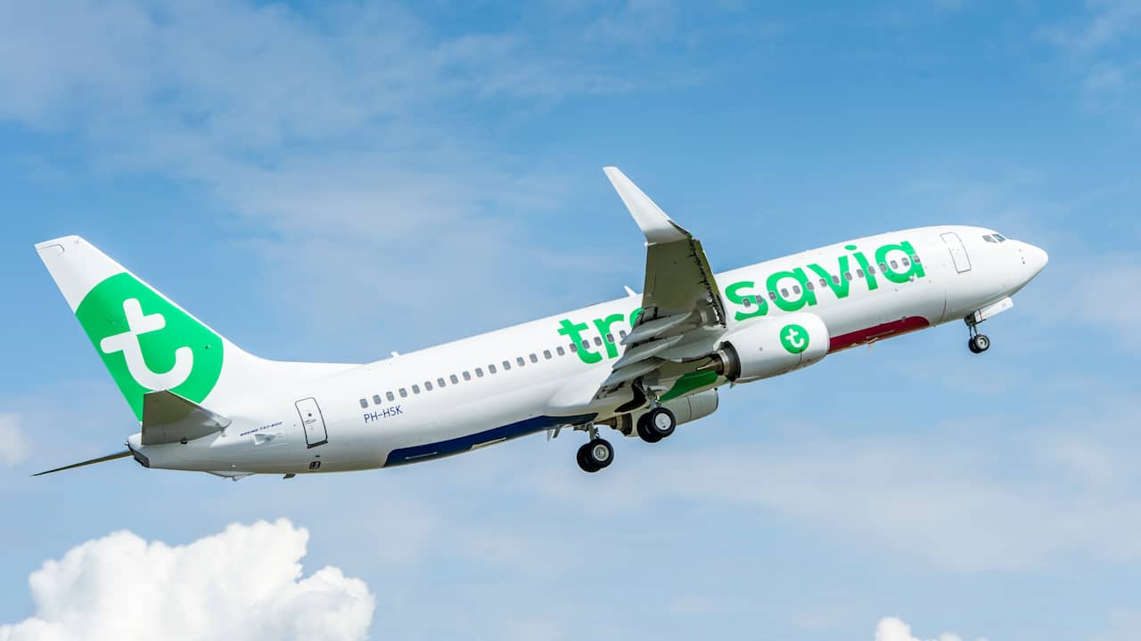 Transavia cancels 240 flights from Schiphol during the summer months |  NOW