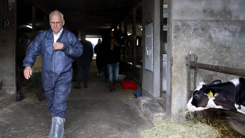 Tweede vaccin tegen blauwtong goedgekeurd, opluchting voor veehouders