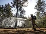 Brandweer bosbrand droogte Brabant zomer 2022