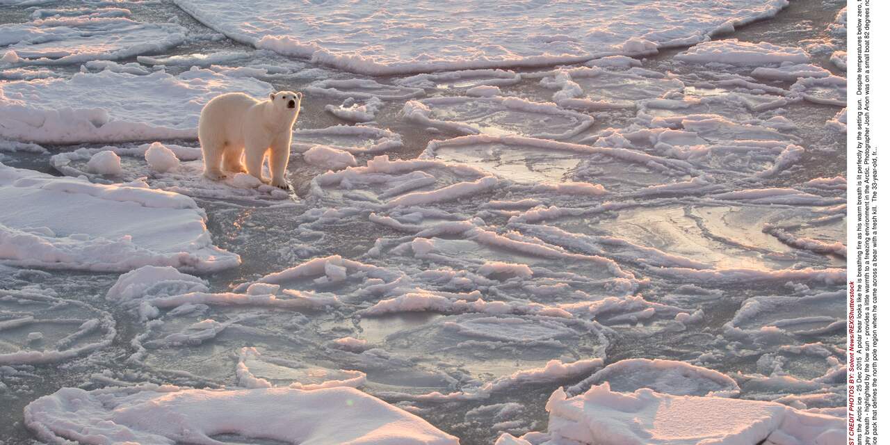 Kinderzorgen over klimaat: 'Hun lievelingsdier sterft uit, toekomst is onzeker'