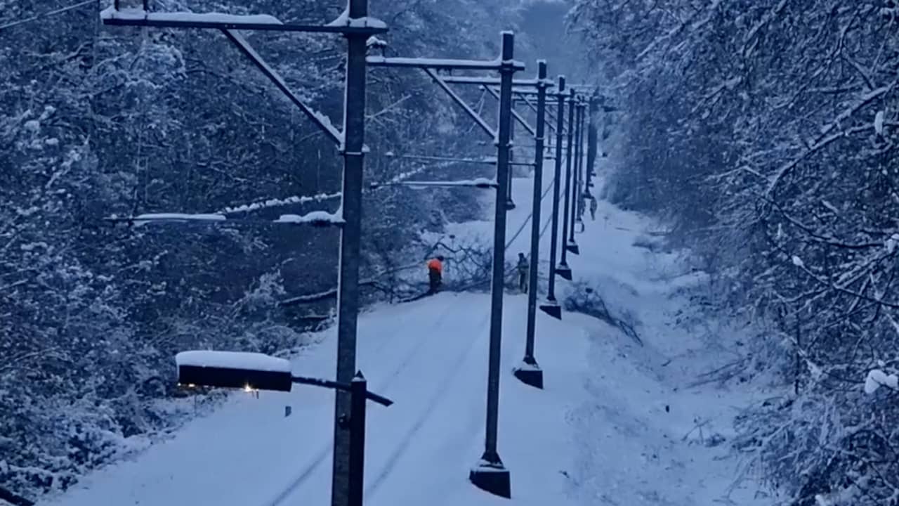 Beeld uit video: Boom valt op het spoor door dik pak sneeuw in Limburg