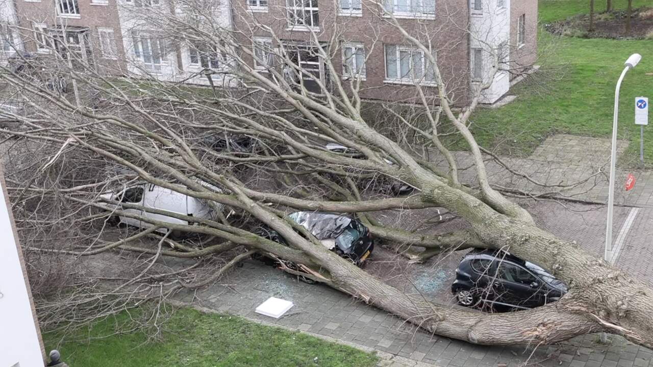Beeld uit video: Storm Corrie raast over Nederland: harde windstoten en omgevallen bomen