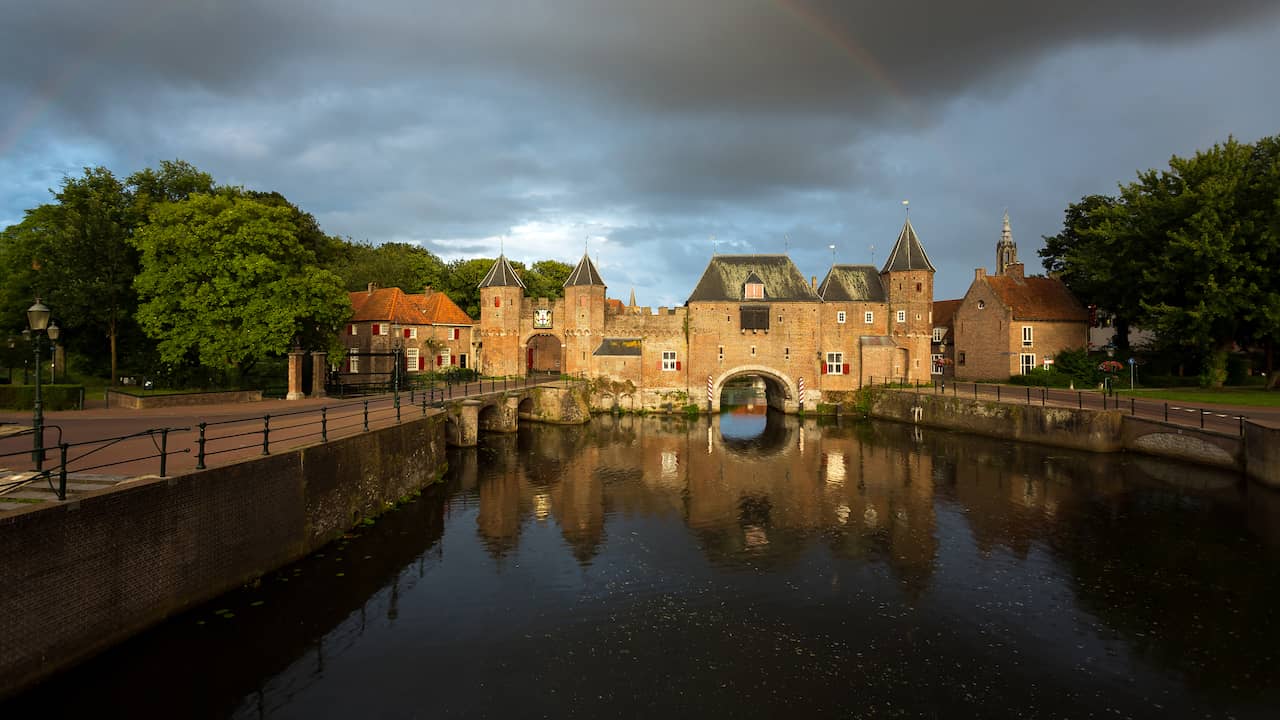 Municipal Tree Planting: Amersfoort and Ede Top List for Good for Nature Species, Research Finds