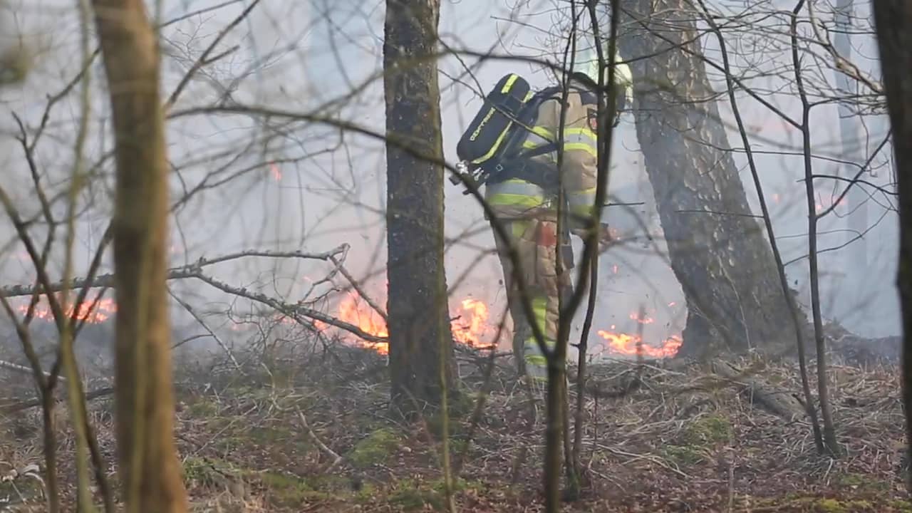 Beeld uit video: Brandweer bestrijdt natuurbrand nabij Hoogeveen