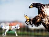 Nederlandse roofvogel beveiligt NAVO-top tegen drones