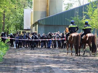Dierenactivisten bezetten boerderij in Boxtel, tegenactie van boeren