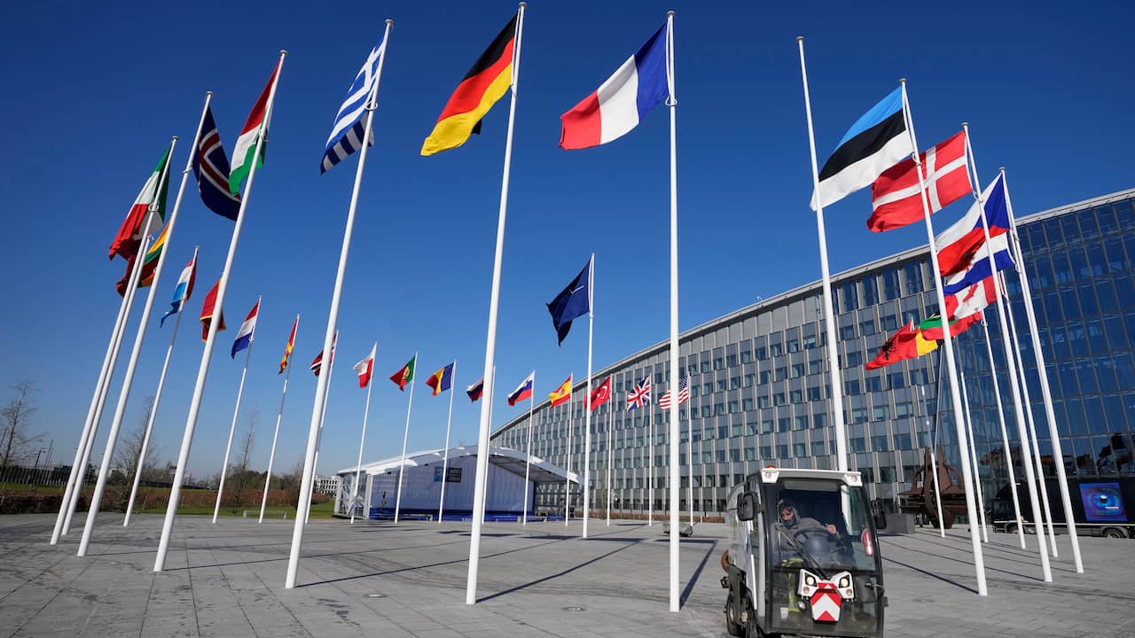La Finlandia entra ufficialmente a far parte della NATO: “La bandiera sarà issata domani” |  All’estero