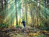 185 miljoen bomen planten, is dat wel goed voor het klimaat?