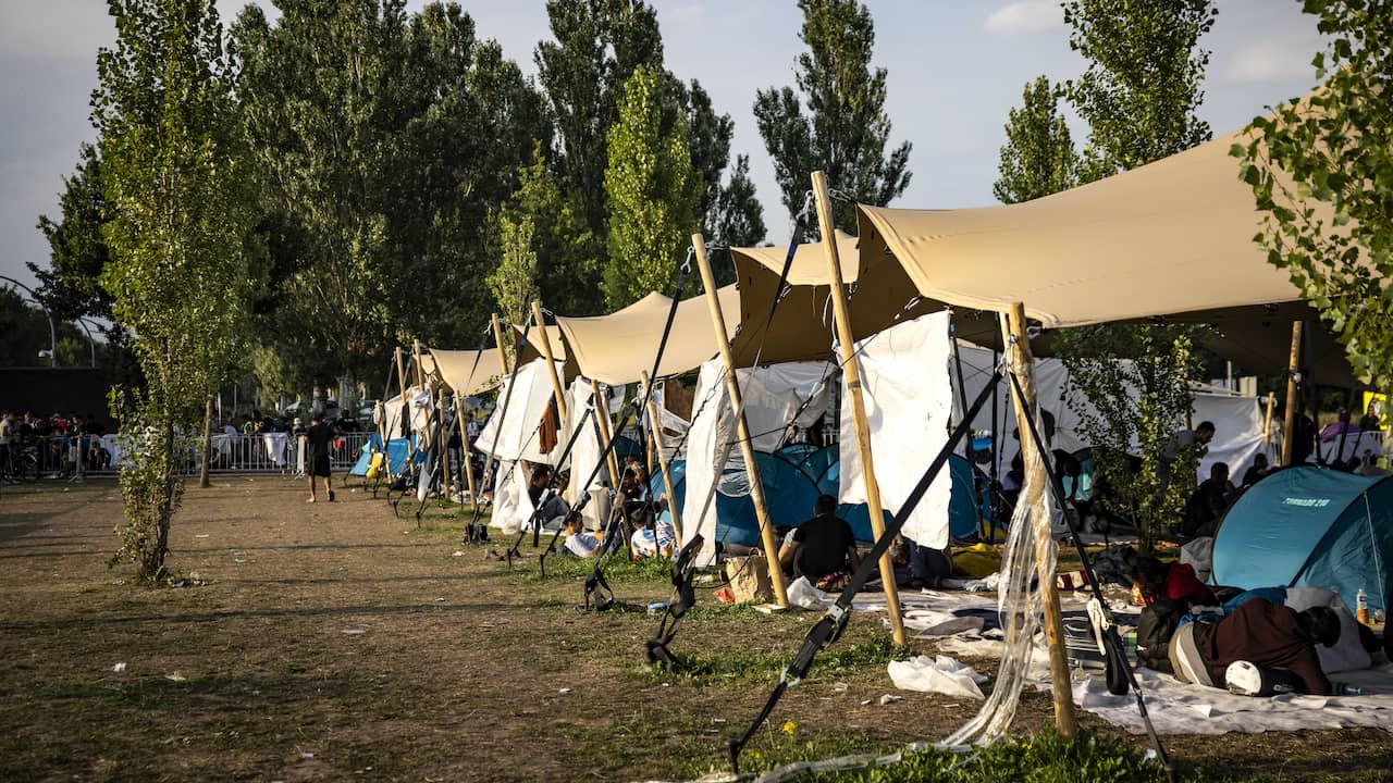 Nieuw Dieptepunt Bij Ter Apel: Omstandigheden Voor Asielzoekers ...