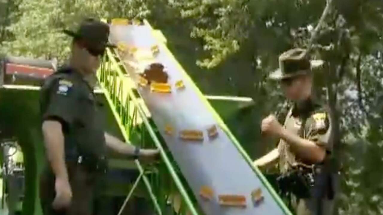 Beeld uit video: Politie New York vernietigt twee ton ivoor in Central Park