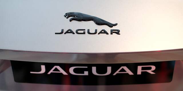 Jaguar,