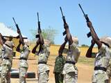 'Nigeria boekt vooruitgang in strijd Boko Haram'