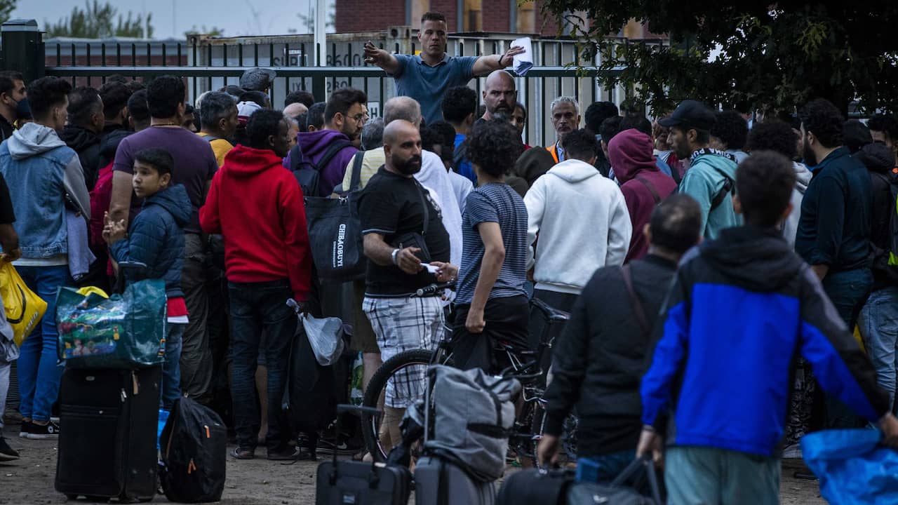 Asylum seekers typically ‘real’ refugees: only a single in eight must return |  NOW