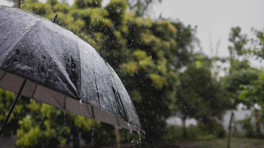 Weerbericht | Enige regenachtige dag in week met lenteweer