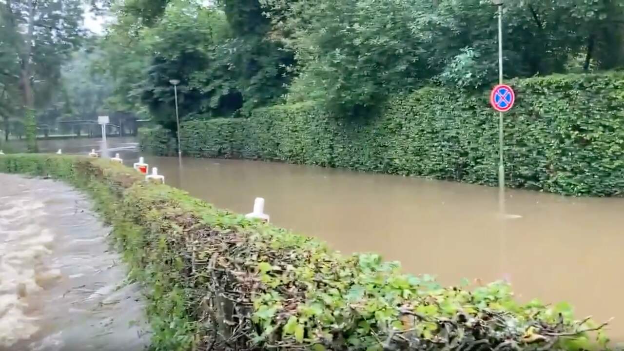 Beeld uit video: NU.nl-verslaggever filmt hoe rivier Geul buiten oevers treedt